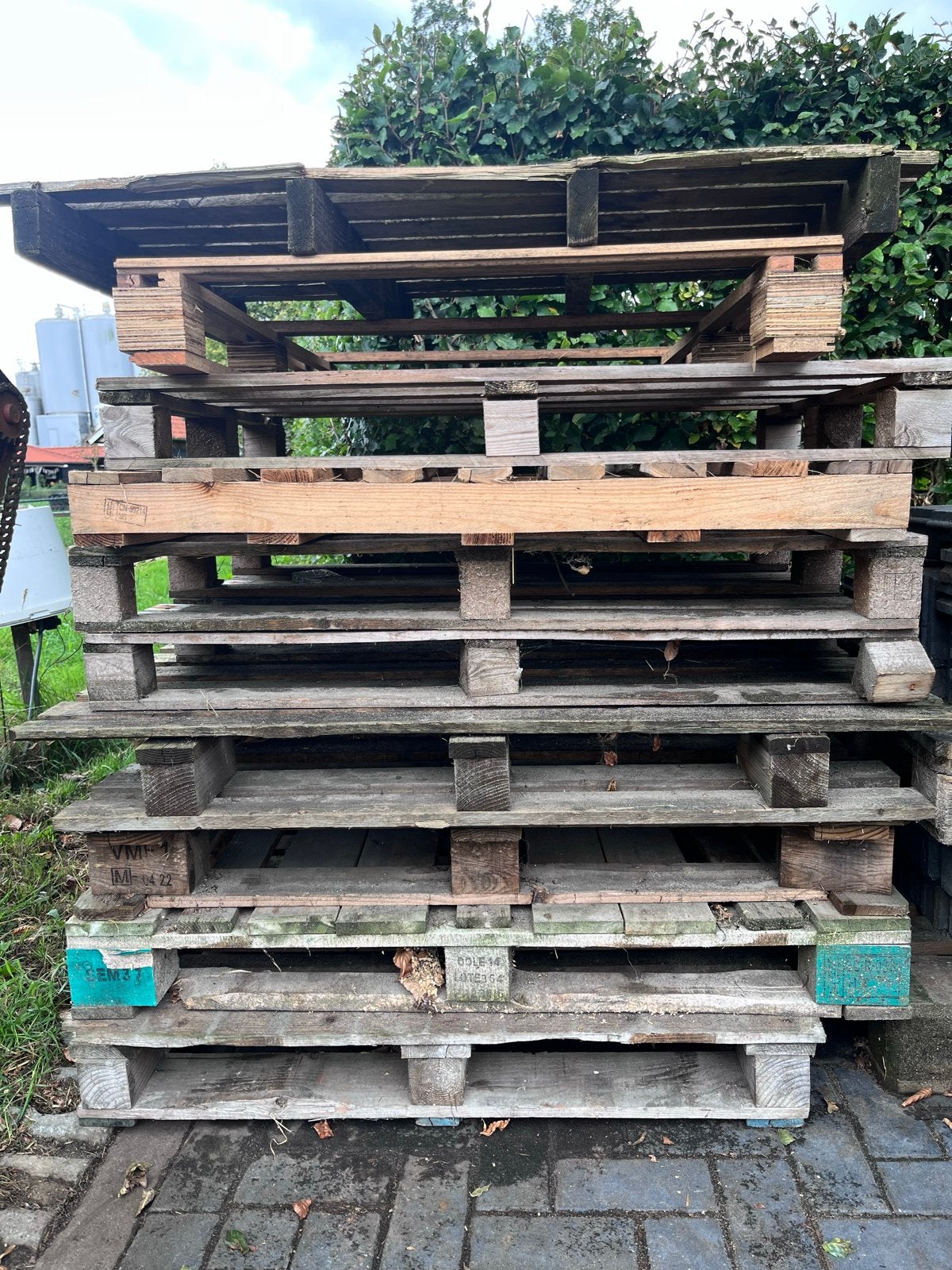 Gratis pallets voor diverse doeleinden, Ophalen, Gebruikt, 50 mm of meer, Pallet
