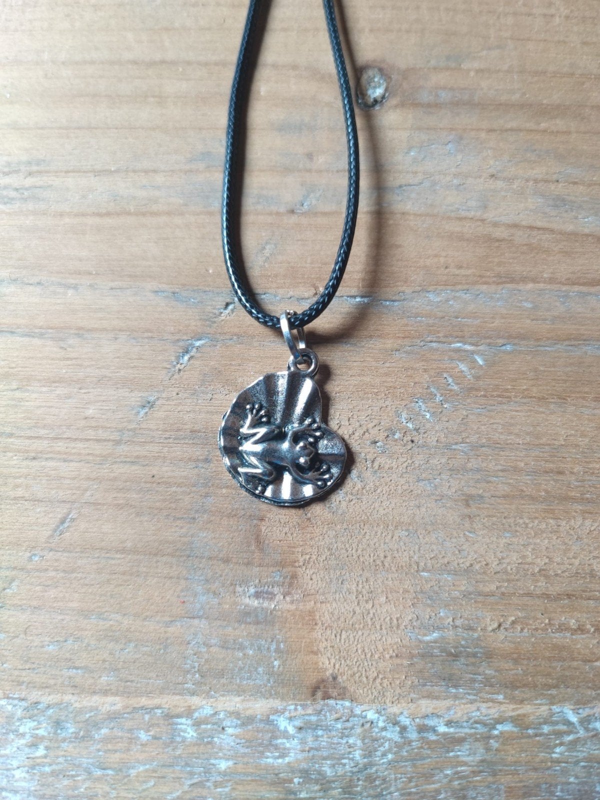 Nieuwe ketting met kikker hanger, Verzenden, Nieuw, Zilver, Overige materialen