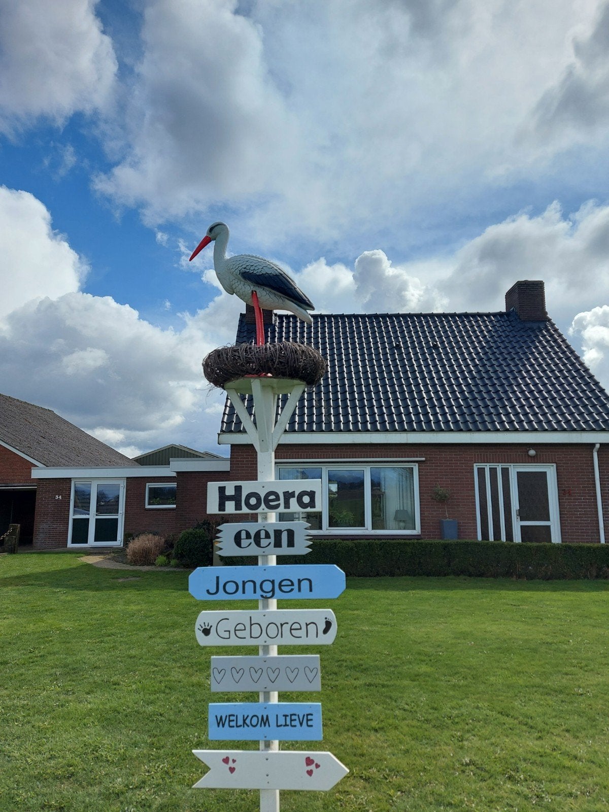 geboorte ooievaar, Ophalen