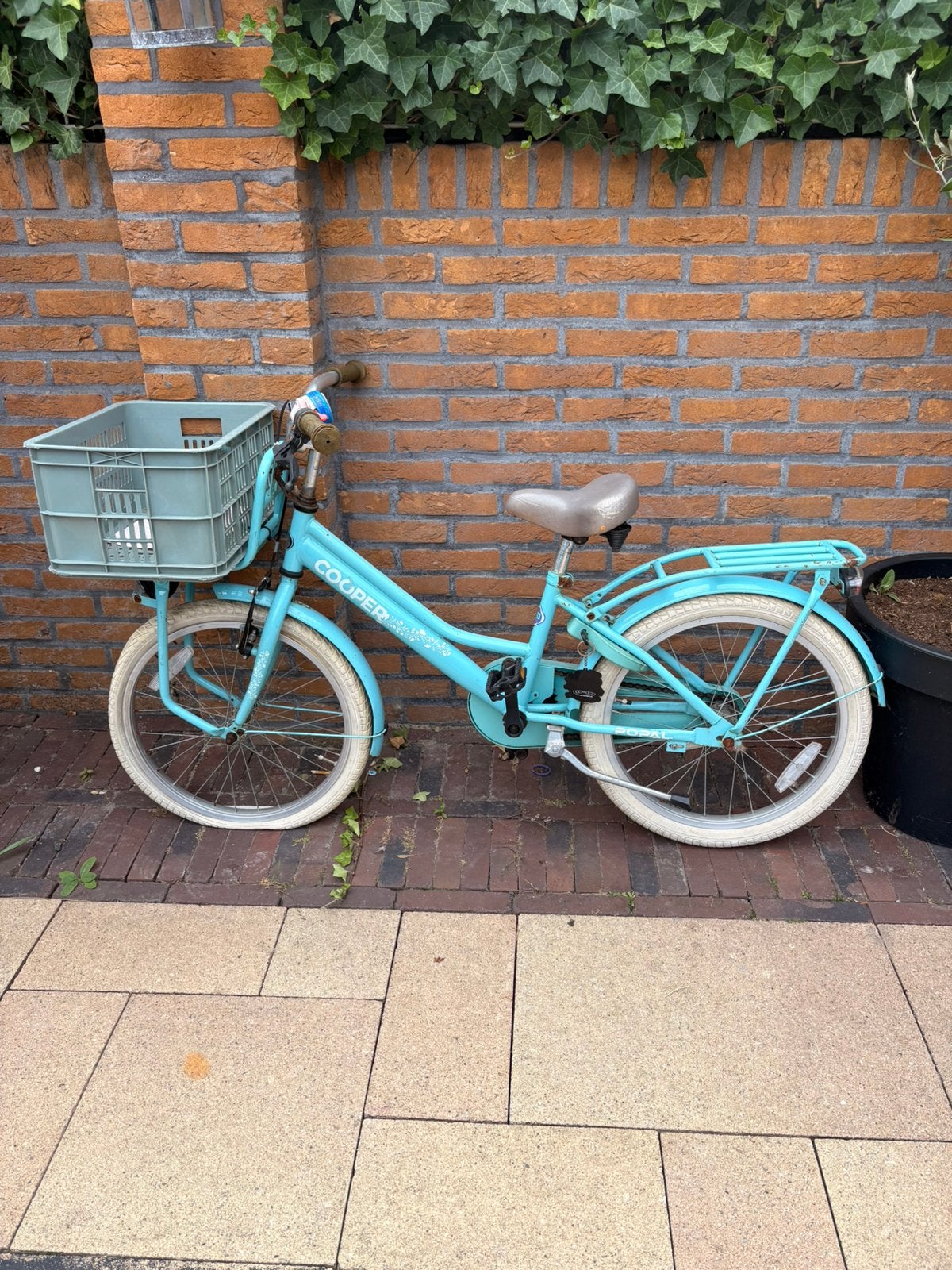 Meisjesfiets 20 inch, Ophalen, Gebruikt, 20 inch, Handrem