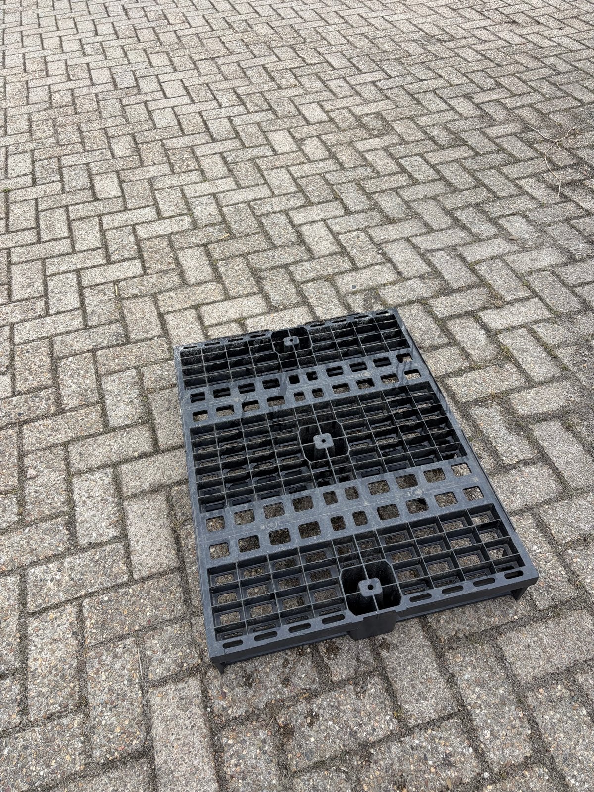 30x Kunststof halve pallets (600x800 cm) - Euroformaat, Ophalen, 100 cm of meer, 60 cm of meer, Overige typen