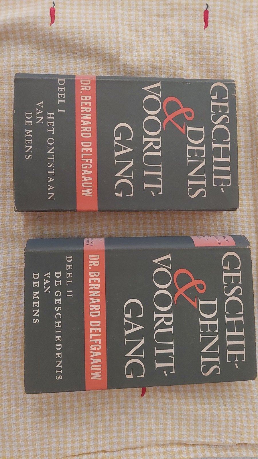 Geschiedenis & Vooruitgang - Dr. Bernard Delfgaauw (2 delen), Ophalen of Verzenden, 20e eeuw of later, Gelezen, Dr. Bernard Delfgaauw