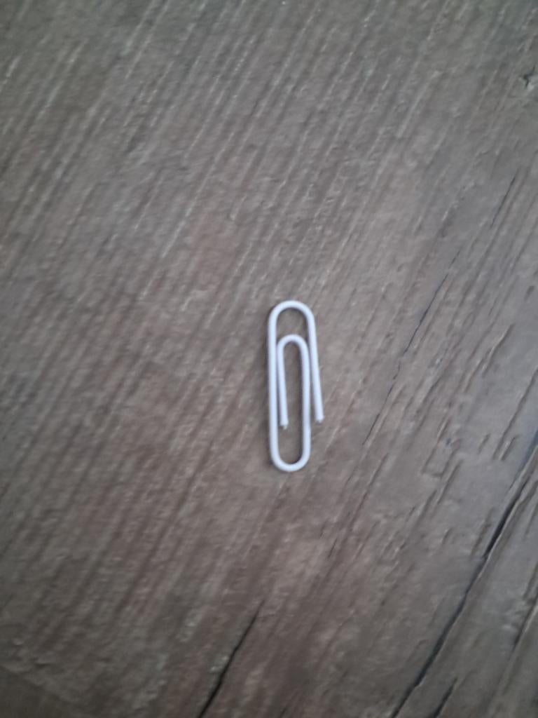 Witte paperclip, Verzamelen, Ophalen of Verzenden, Zo goed als nieuw, Embleem, Speld of Insigne