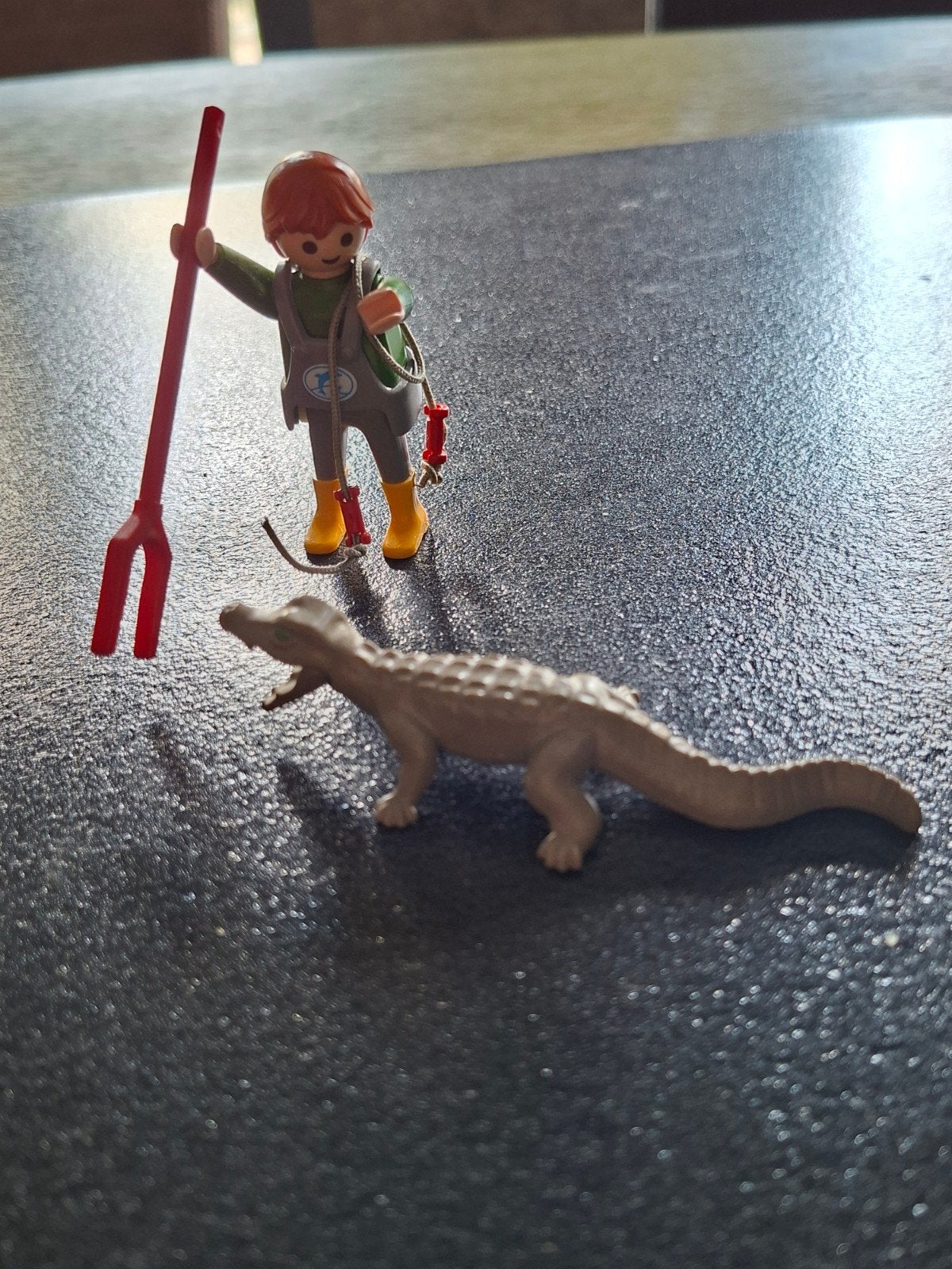 playmobil manege met krokodil, Kinderen en Baby's, Ophalen of Verzenden, Zo goed als nieuw