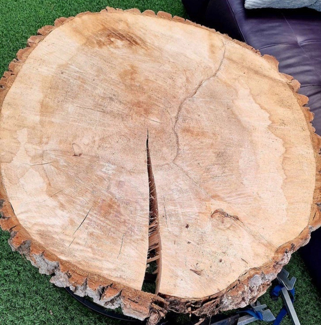 Boomstam schijf boomschijf hout eiken, Tuin en Terras, Ophalen, Hout