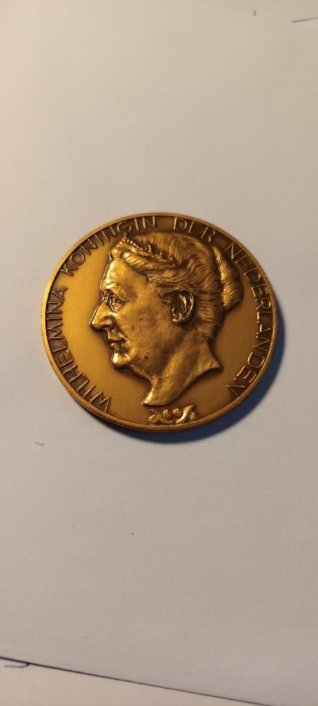 Bronzen Herdenkingspenning Wilhelmina 1898-1948, Ophalen of Verzenden
