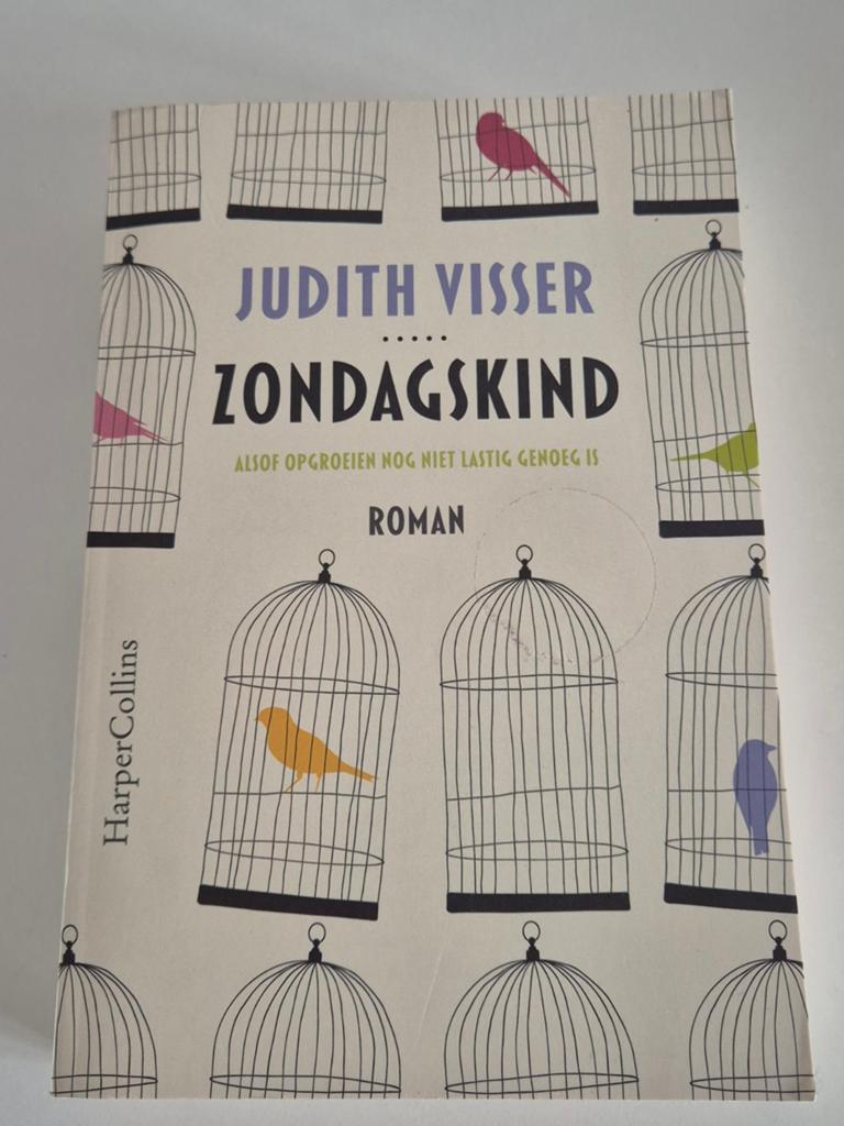 Zondagskind - Judith Visser (Roman), Boeken, Romans, Zo goed als nieuw, Nederland, Ophalen of Verzenden