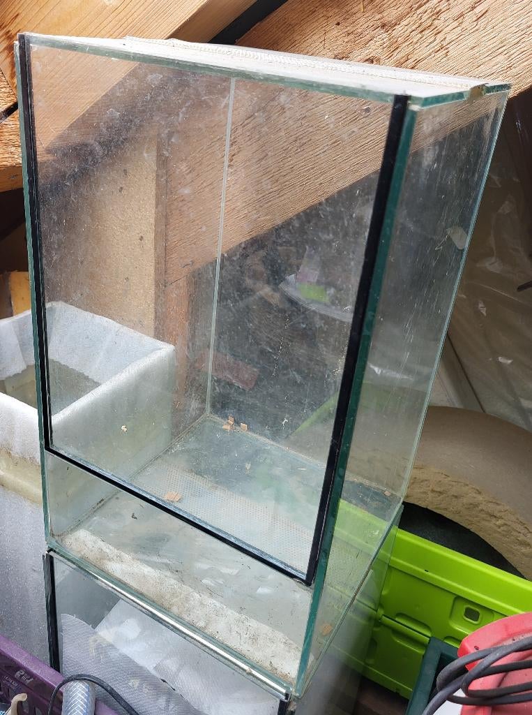 1 terraria / palludaria, Dieren en Toebehoren, Ophalen of Verzenden, Zo goed als nieuw, Terrarium of Paludarium