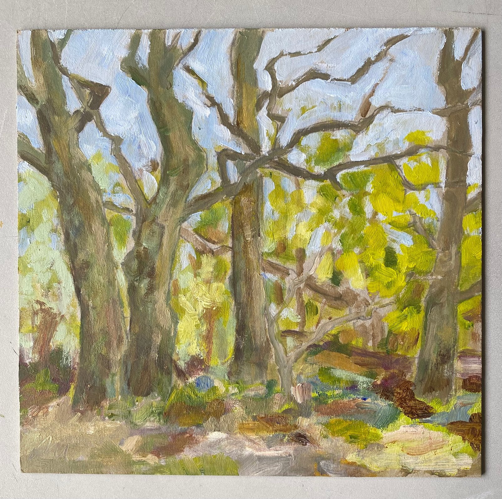 Bomen studie, Ophalen of Verzenden