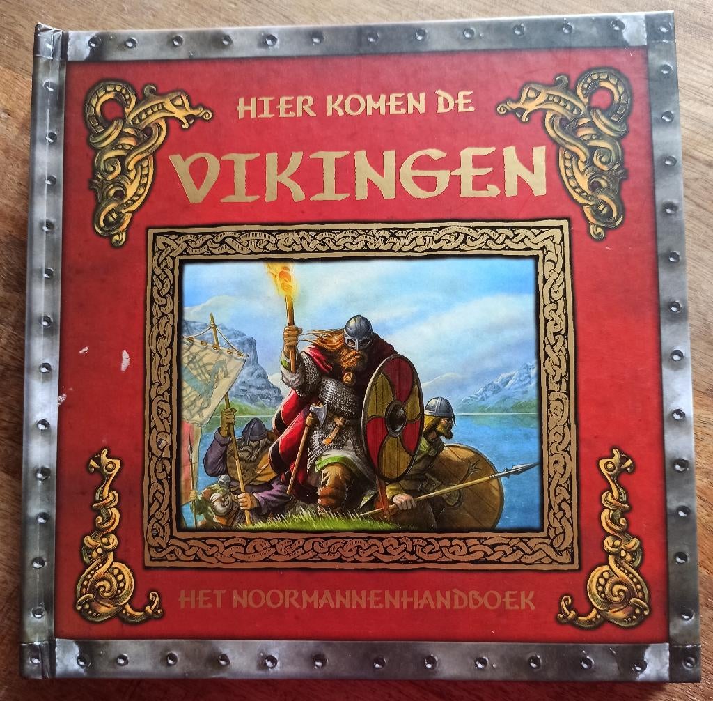 Boek Hier komen de Vikingen, Boeken, Kinderboeken | Jeugd | onder 10 jaar, Ophalen of Verzenden, Zo goed als nieuw, Onbekend, Fictie algemeen