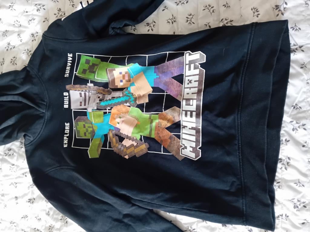 Minecraft hoodie maat 158 voor jongens, Gebruikt, Trui of Vest, Minecraft, Ophalen of Verzenden