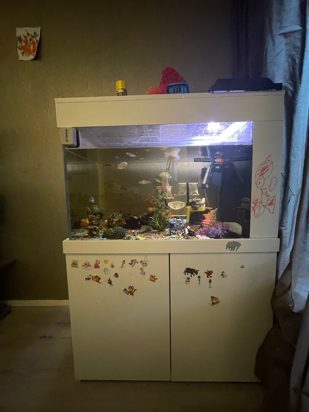COMPLEET AQUARIUM MET VISSEN EN ALLES, Vis, Zoetwatervis