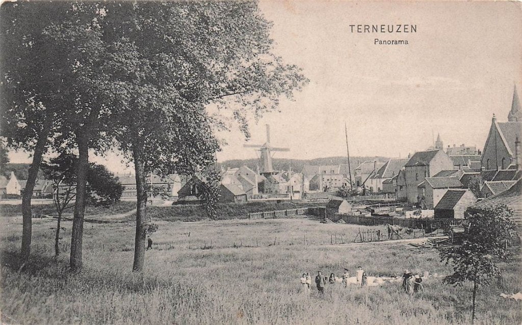 703-307-045 Terneuzen Panorama, Verzenden, Voor 1920, Zeeland
