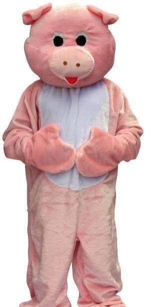 TE KOOP MASCOTTE PAK PROFESIONEEL VARKEN, Ophalen of Verzenden, Nieuw, Overige