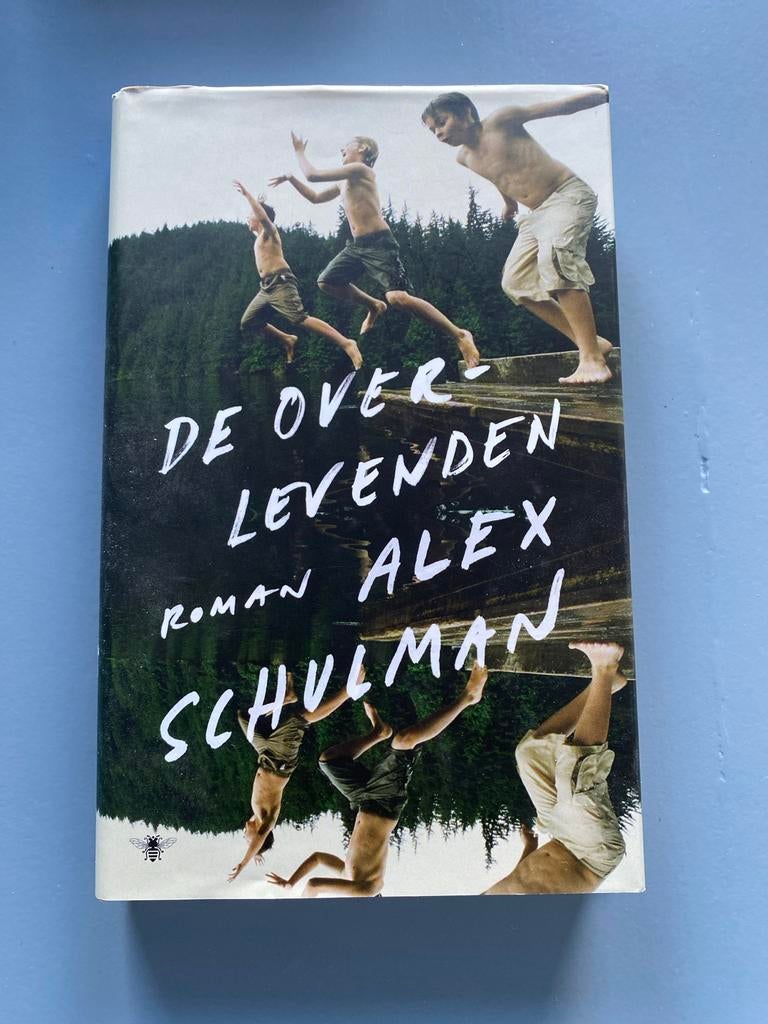 De Overlevenden - Roman van Alex Schulman, Boeken, Ophalen of Verzenden, Gelezen, Europa overig