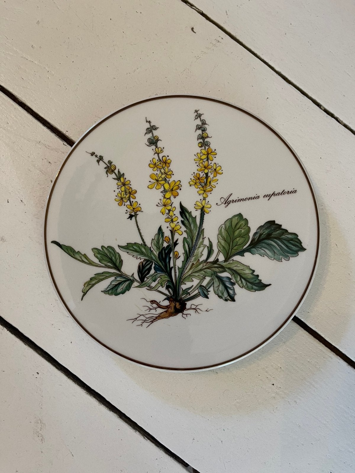 Villeroy & Boch, Botanica. Onderzetter, Huis en Inrichting, Ophalen of Verzenden, Overige typen, Zo goed als nieuw, Overige materialen