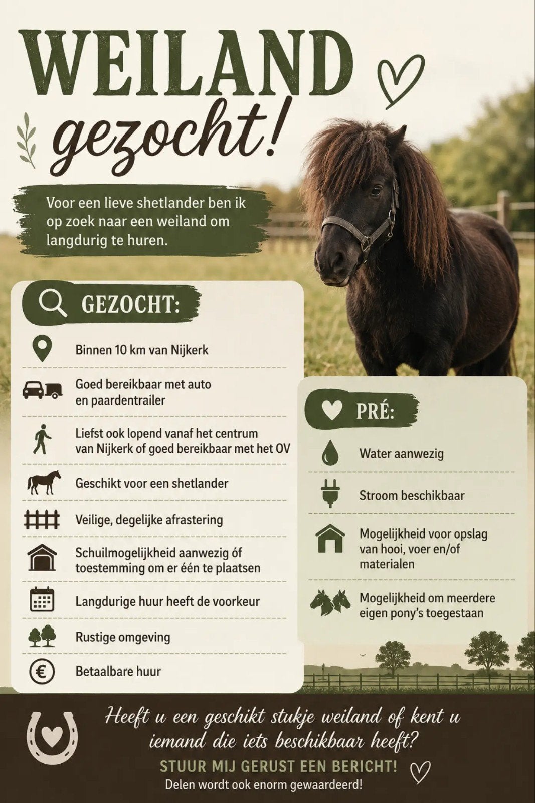 Weiland in eigen beheer GEZOCHT!, Weidegang, 2 of 3 paarden of pony's