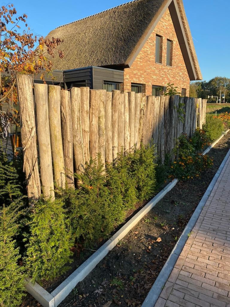 Foto 5 van Robinia palen ( alternatief voor tropisch hardhout)