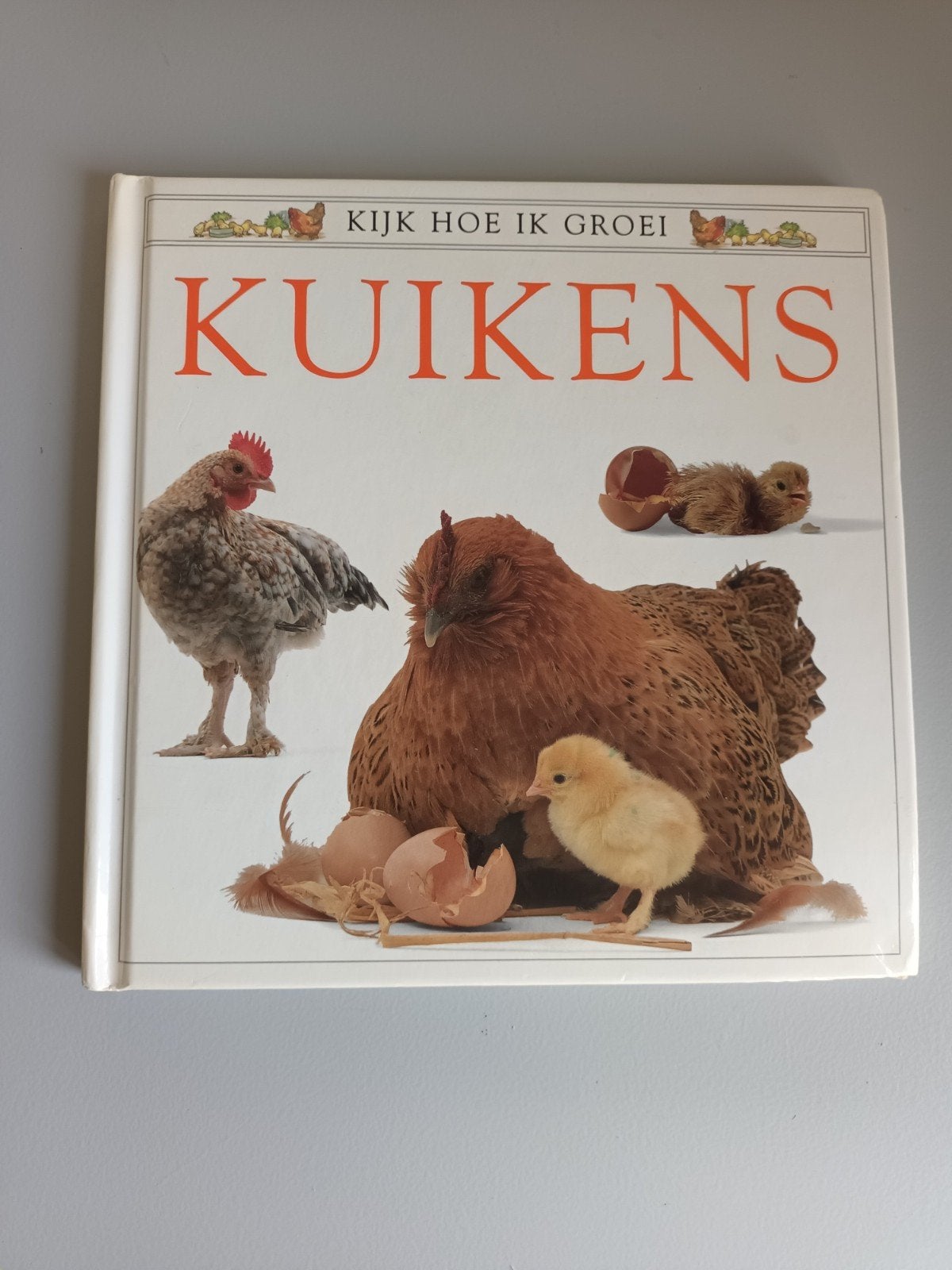 Kijk hoe ik groei Kuikens boek in goede staat ei kuiken kip, Ophalen of Verzenden, Gelezen, Kijk hoe ik groei