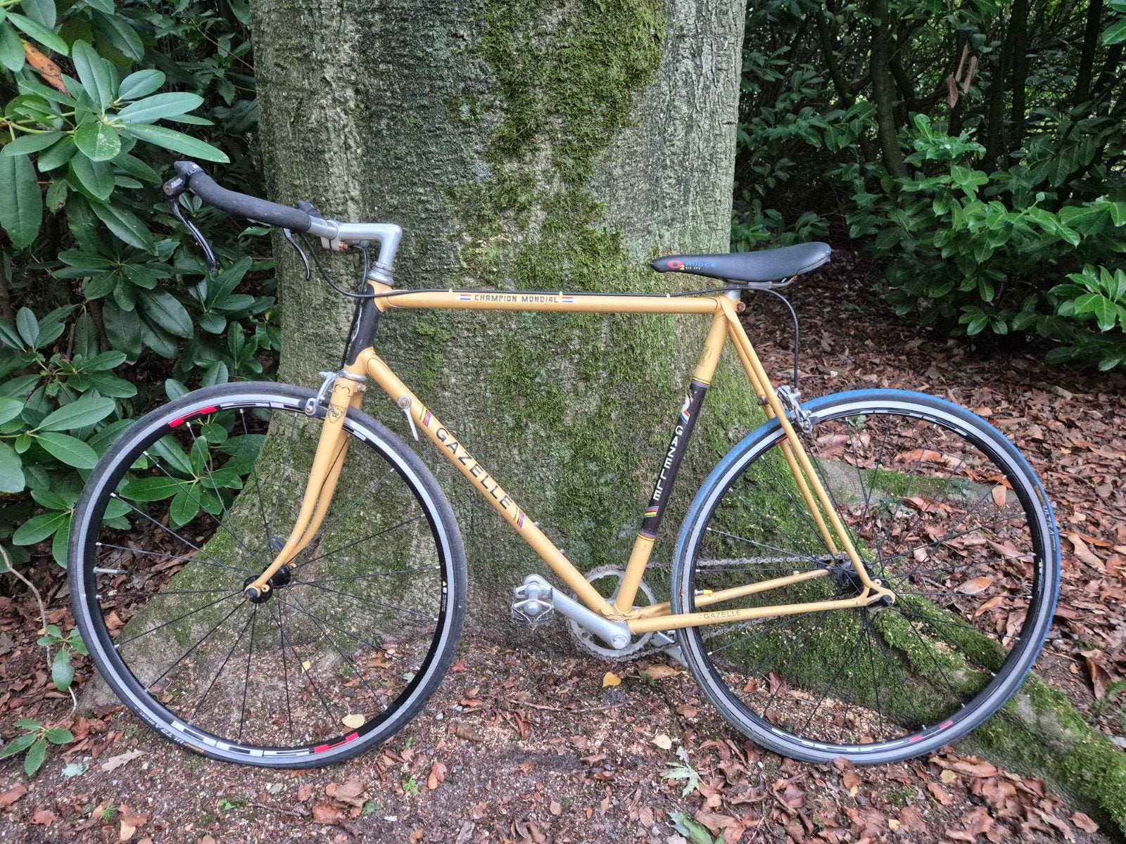 Gazelle Champion Mondial racefiets - Vintage, Ophalen, Gebruikt, Staal, Gazelle