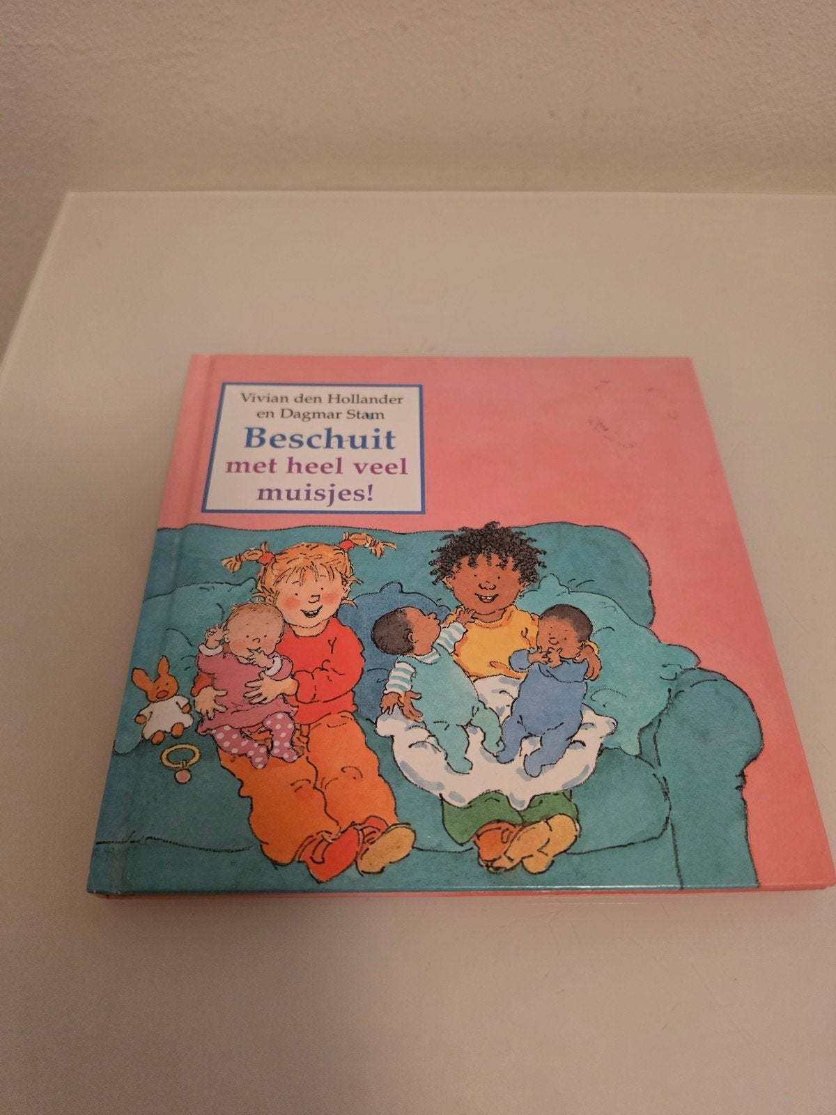 Beschuit met heel veel muisjes! - Vivian den Hollander, Ophalen of Verzenden, Gelezen, Vivian den Hollander, 2 tot 3 jaar