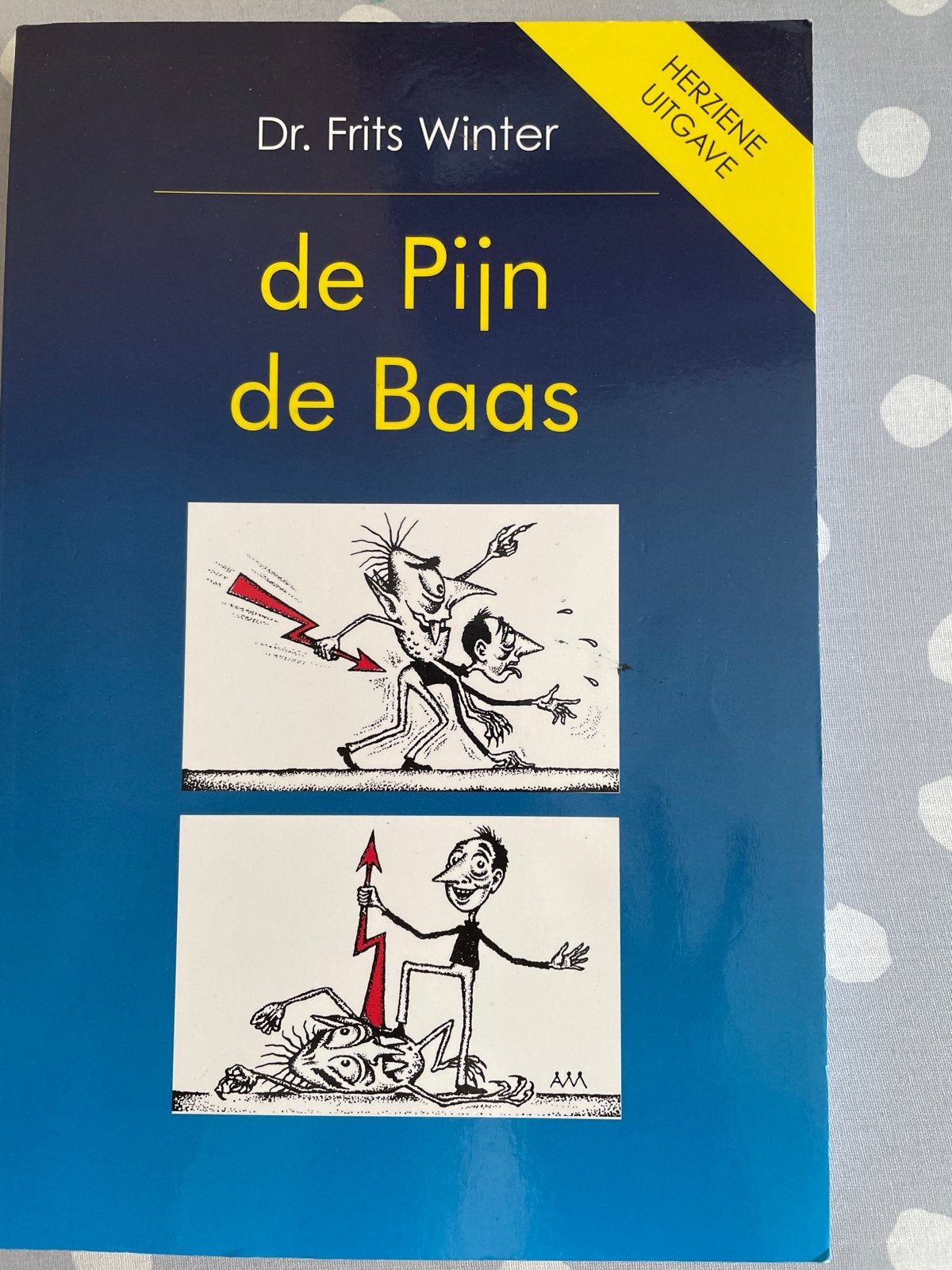 Dr. Frits Winter - de Pijn de Baas (Herziene Uitgave), Ophalen of Verzenden, Zo goed als nieuw, Gezondheid en Conditie