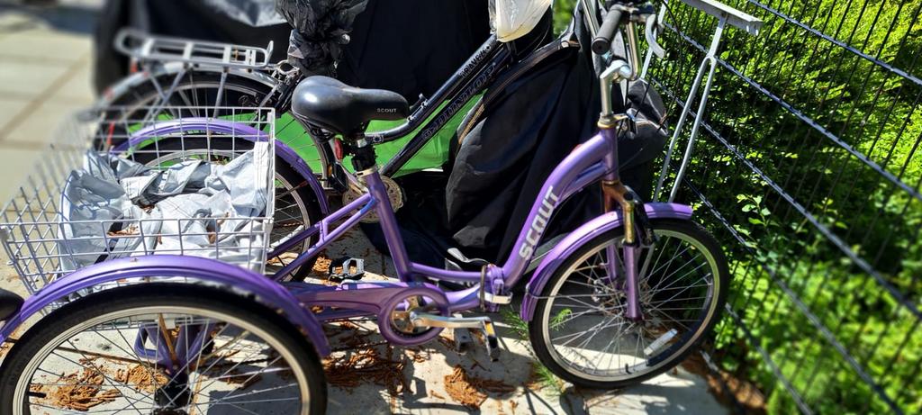 driewieler Fiets, Ophalen of Verzenden, Zo goed als nieuw