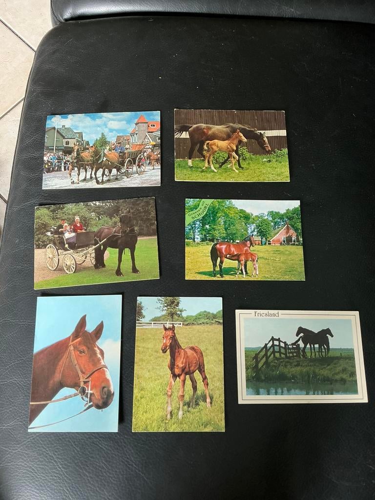 Kaarten paarden beschreven en onbeschreven, Verzamelen, Ansichtkaarten | Themakaarten, Ophalen of Verzenden