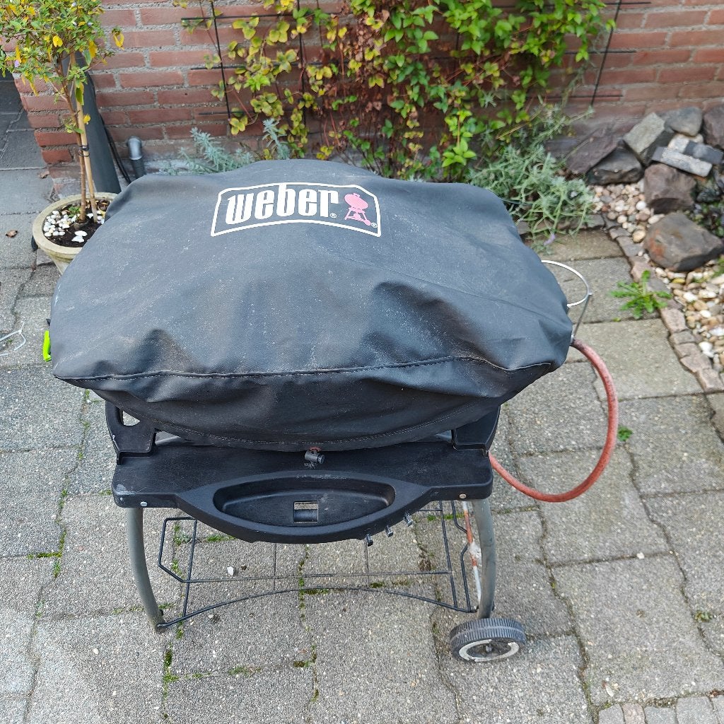 Foto 4 van Weber gas grill