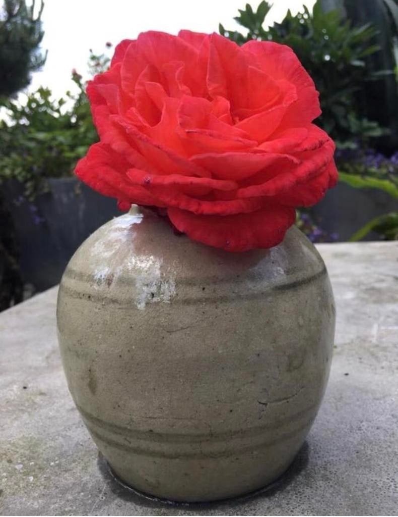 Vintage leuke bolvazen bloempotten terracotta geglaz. uniek, Ophalen of Verzenden