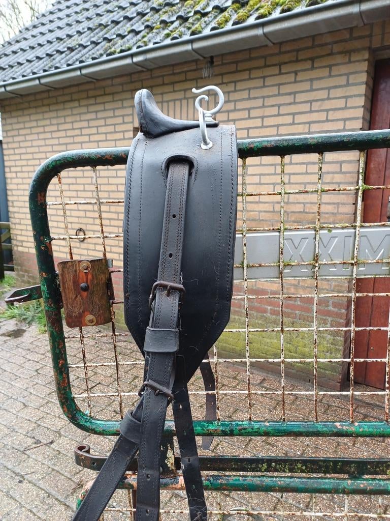 Menschoft, Ophalen of Verzenden, Overige soorten
