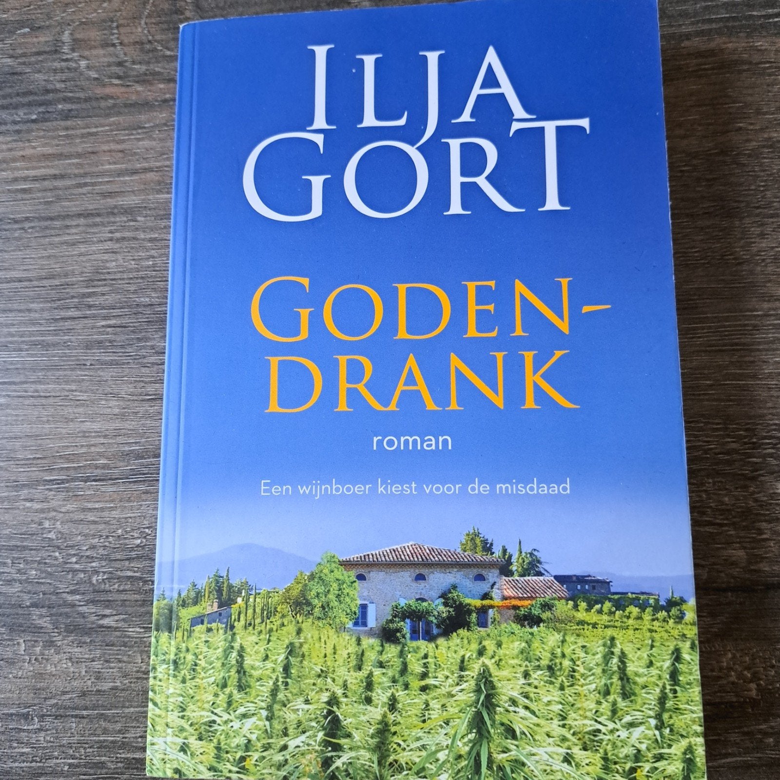 Ilja Gort - Godendrank (roman), Ophalen of Verzenden, Zo goed als nieuw, Ilja Gort, Nederland