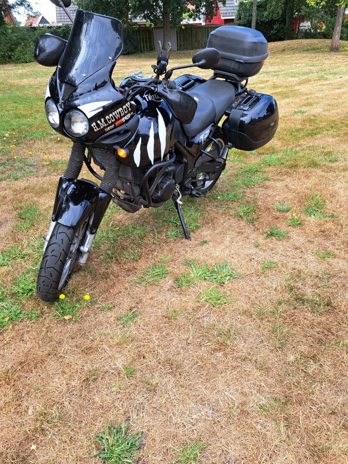 Triumph Tiger 955i 2001, Particulier, Toermotor