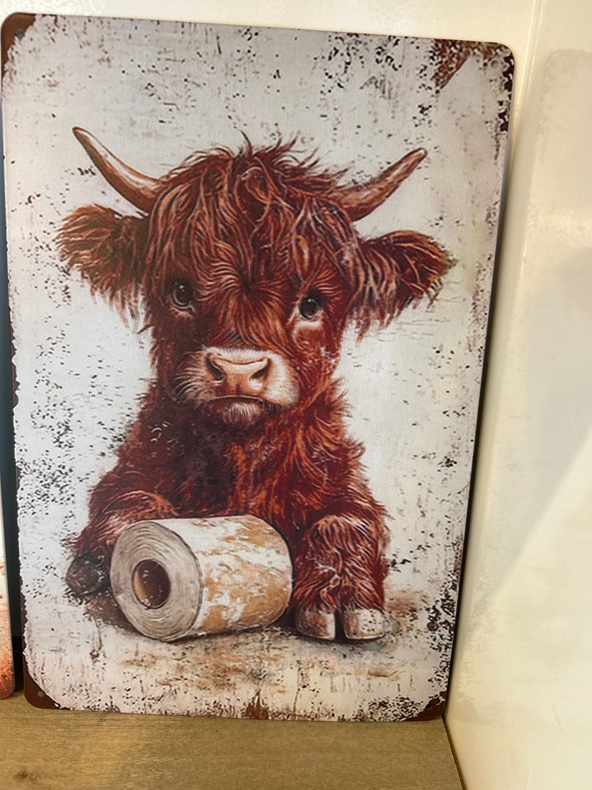 Aluminium plaatje 2D bedrukt - Schattige Schotse Hooglander, Huis en Inrichting, Woonaccessoires | Wanddecoraties, Metaal, Meerkleurig