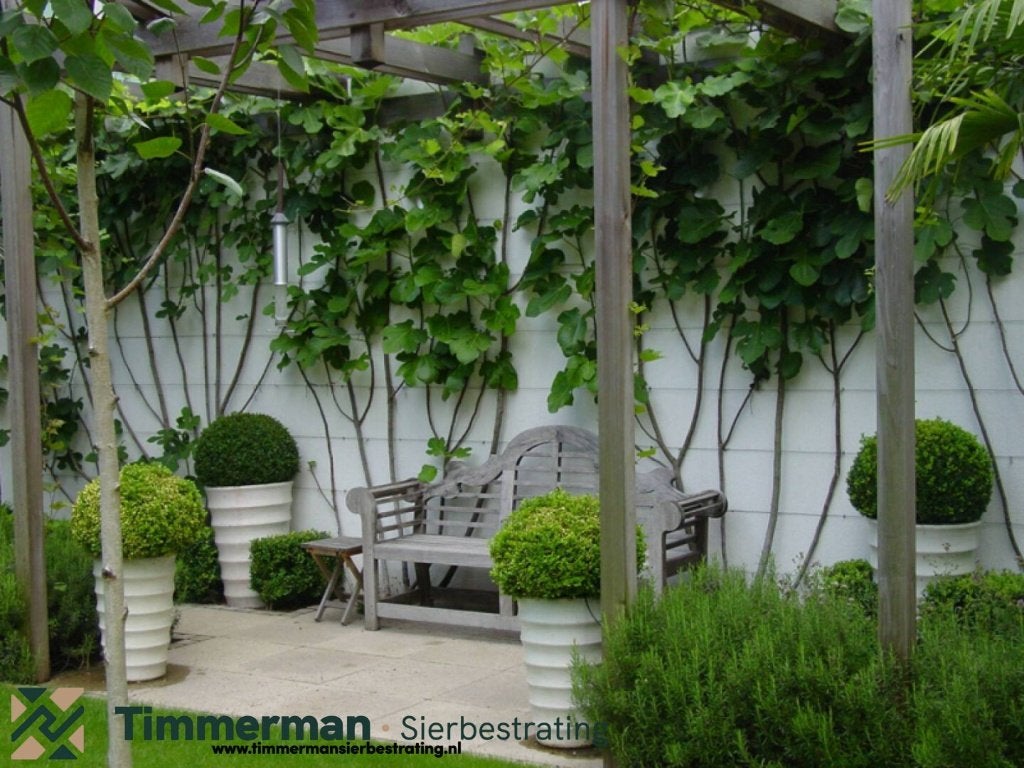 Tuintegel 60x60x4 Touched Elegante, Betontegel, Aanbieding, Tuin en Terras, Tegels en Klinkers, Ophalen of Verzenden, Nieuw, Beton
