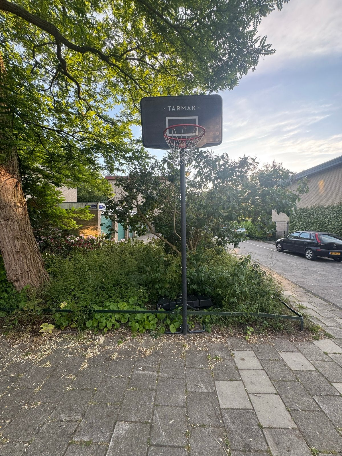 Tarmak basketbalpaal met bord en ring, Sport en Fitness, Basketbal, Ophalen, Gebruikt, Ring, Bord of Paal