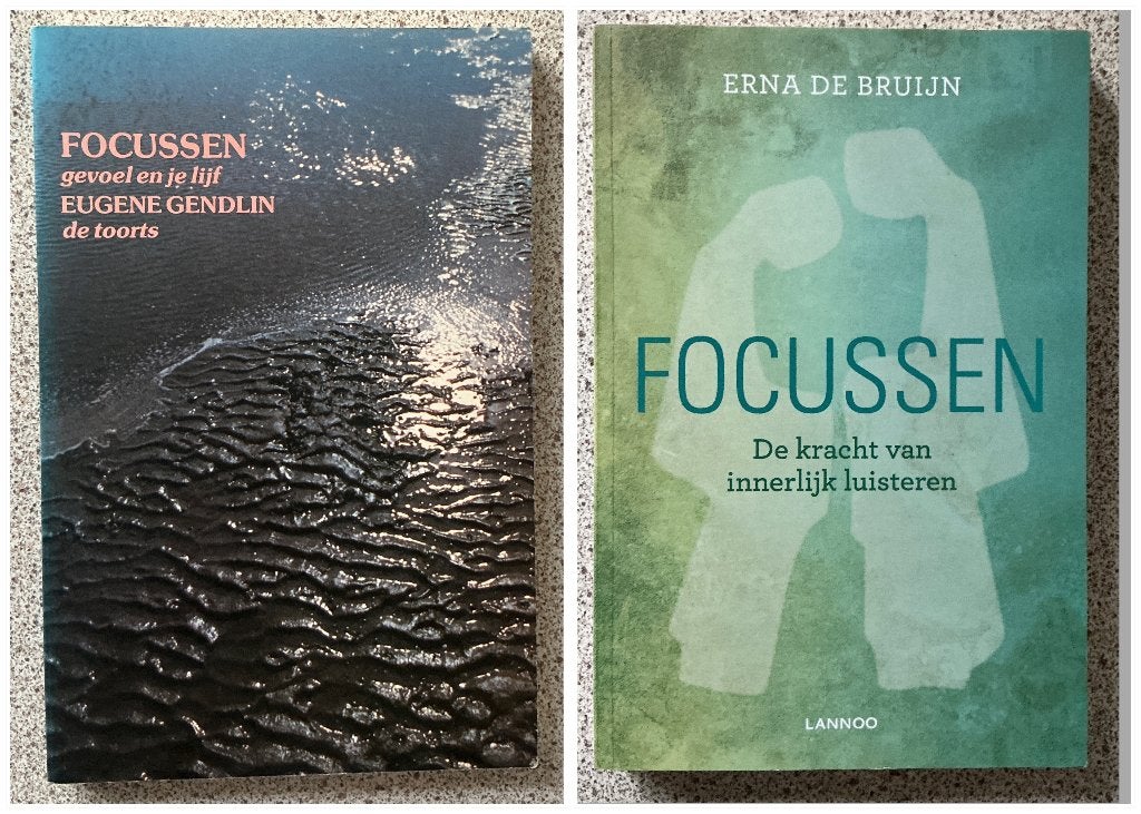 Focussen - Eugene Gendlin, Achtergrond en Informatie, Spiritualiteit algemeen, Ophalen of Verzenden, Eugene Gendlin.