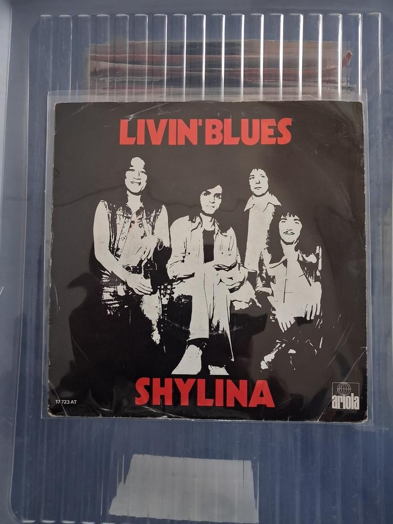 Livin blues  shylina, Ophalen of Verzenden, Gebruikt, Jazz en Blues