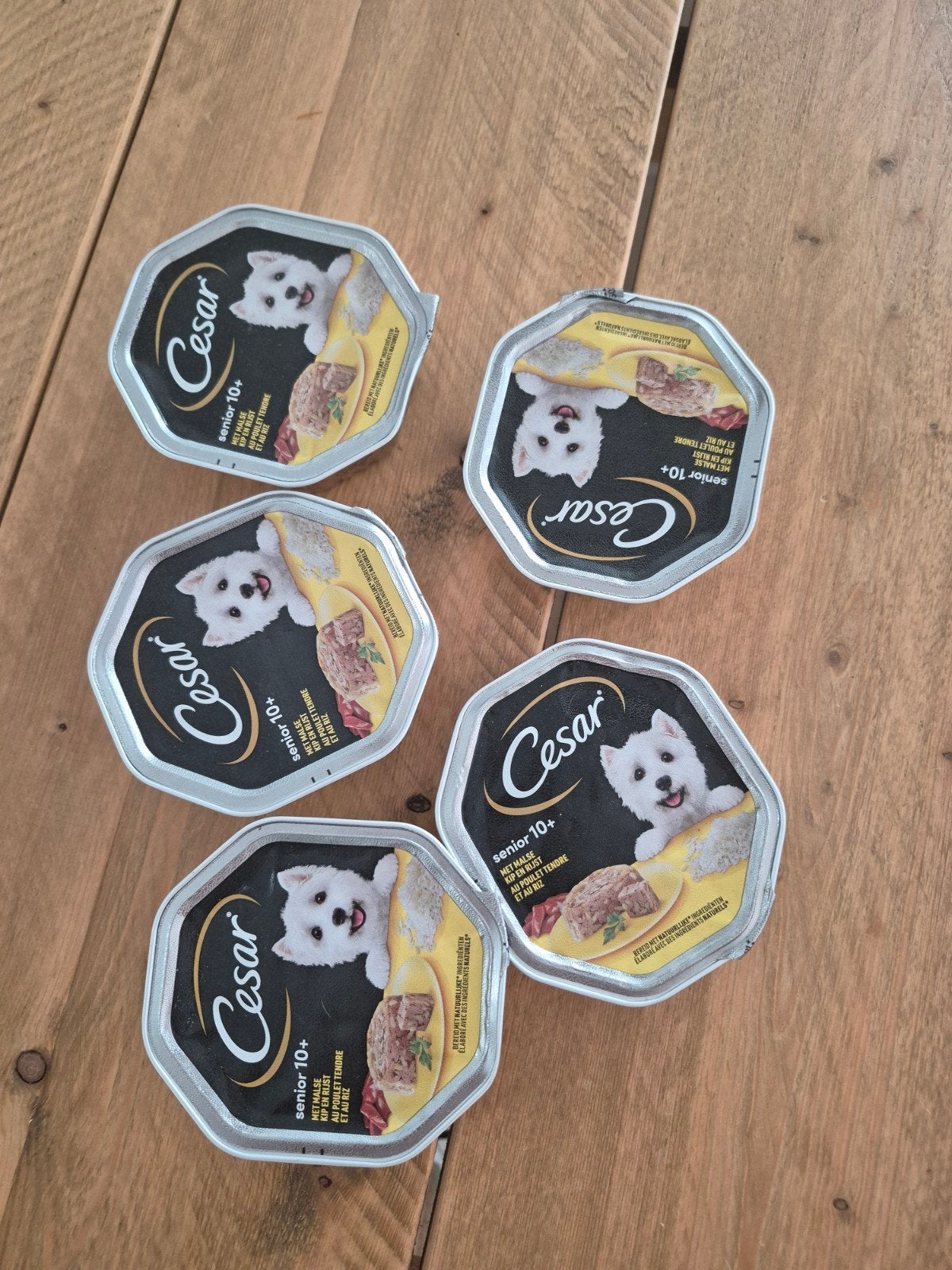 Cesar senior, Auto diversen, Autostickers, Ophalen of Verzenden
