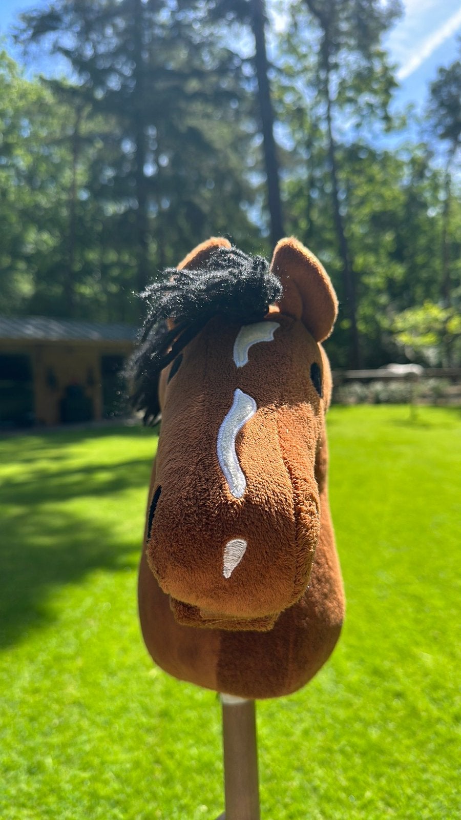 Hobby horses, Ophalen, Zo goed als nieuw