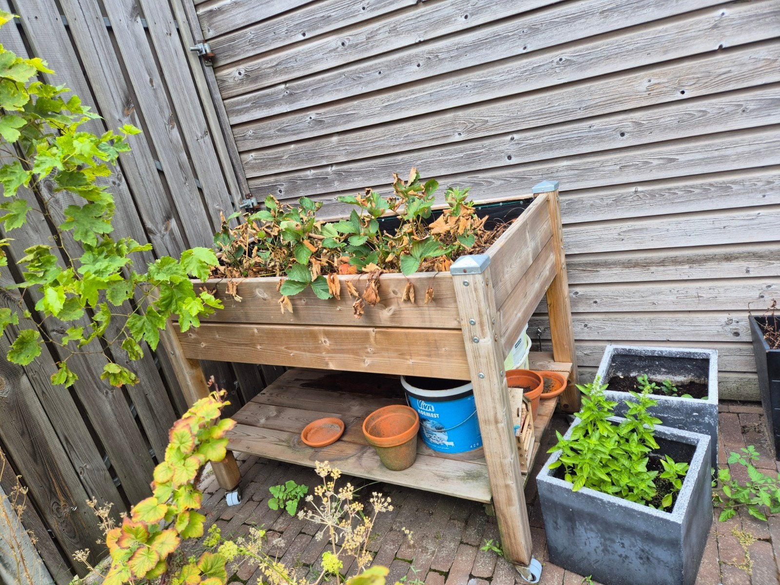 Verhoogde kweekbak op wielen, Tuin en Terras, Ophalen, Gebruikt, 100 cm of meer, Balkon