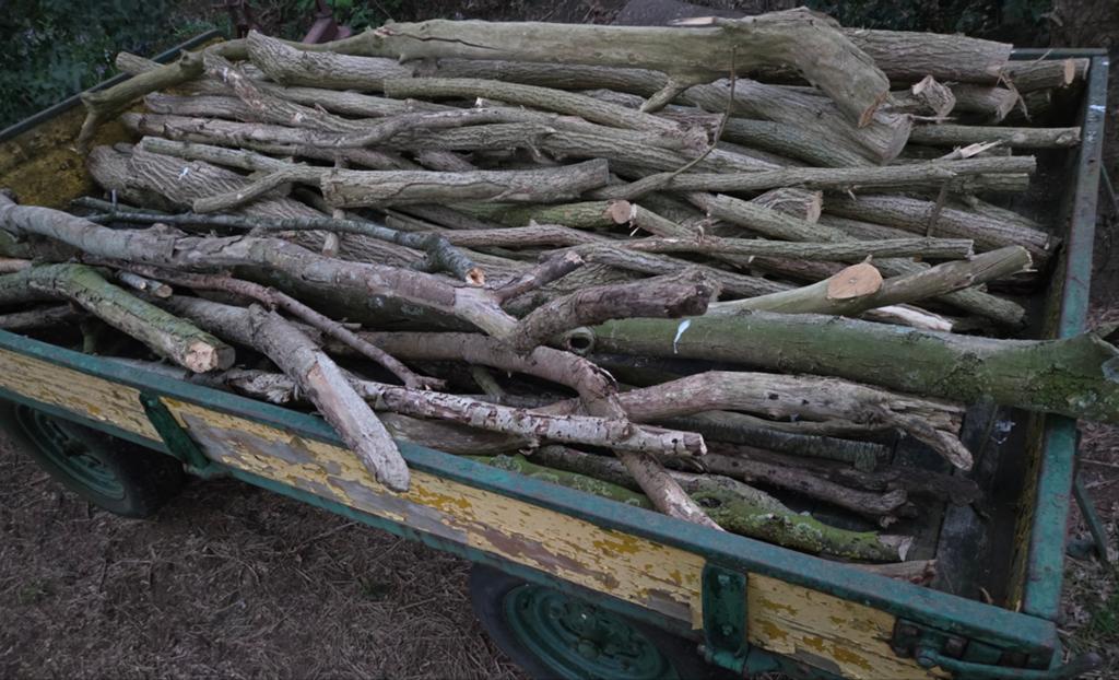 Brandhout - Haardhout - Kachelhout - Stammen Hout, Tuin en Terras, Haardhout, Ophalen, Overige houtsoorten, Stammen