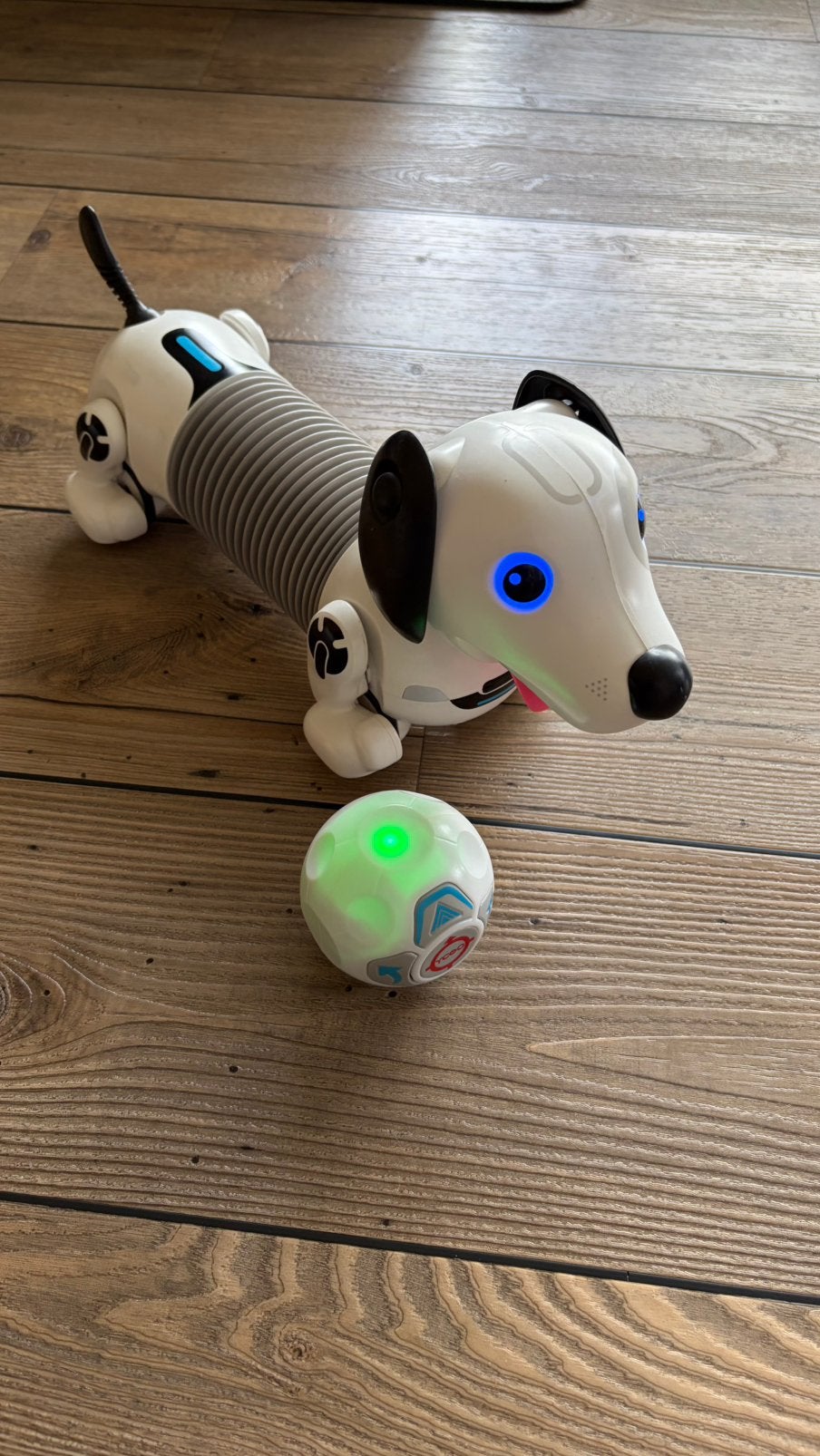 YCOO Robot Hond / Robotteckel met afstandsbediening, Ophalen of Verzenden, Zo goed als nieuw, Jongen of Meisje