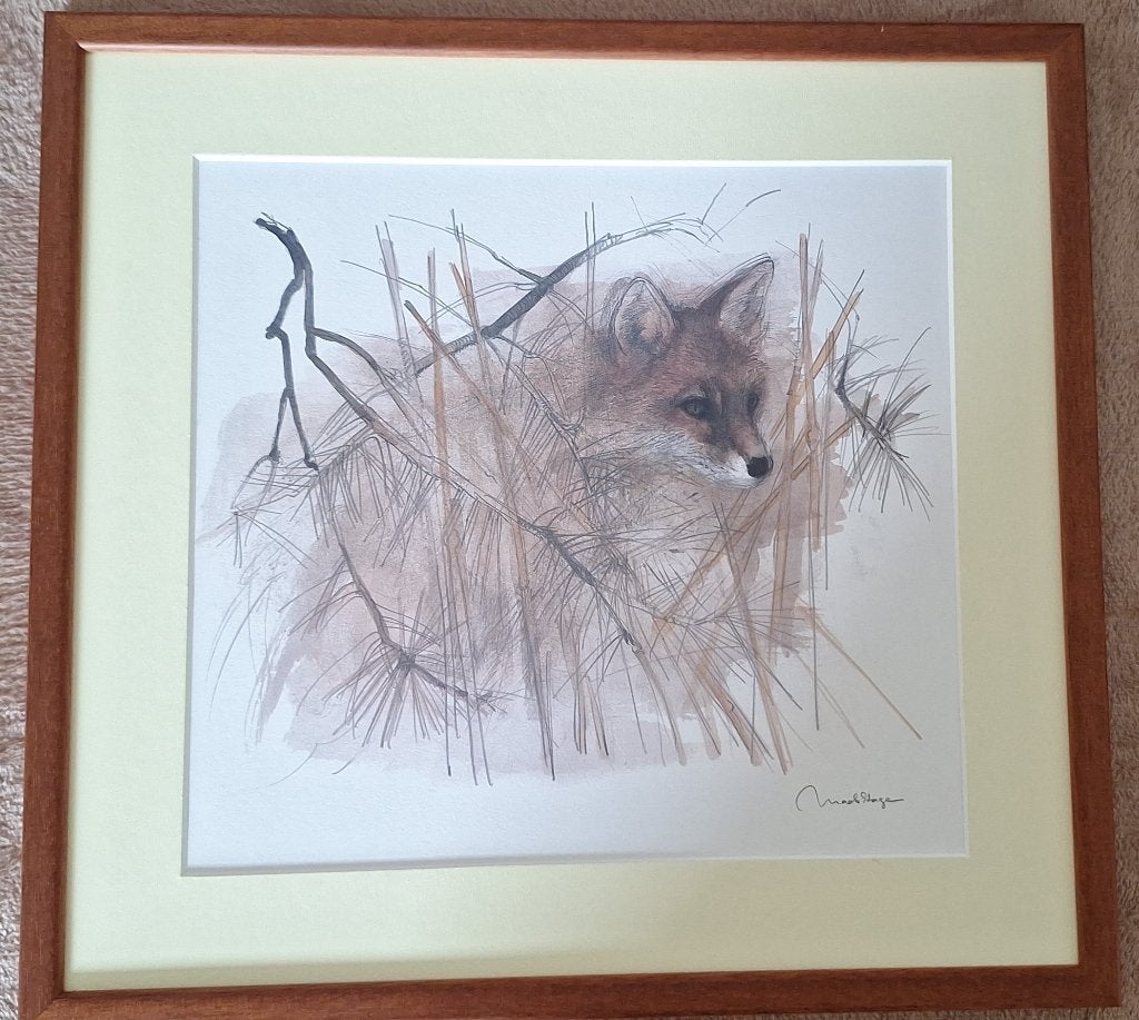 6 houten fotolijsten, Ophalen, Minder dan 50 cm, Zo goed als nieuw, Schilderij