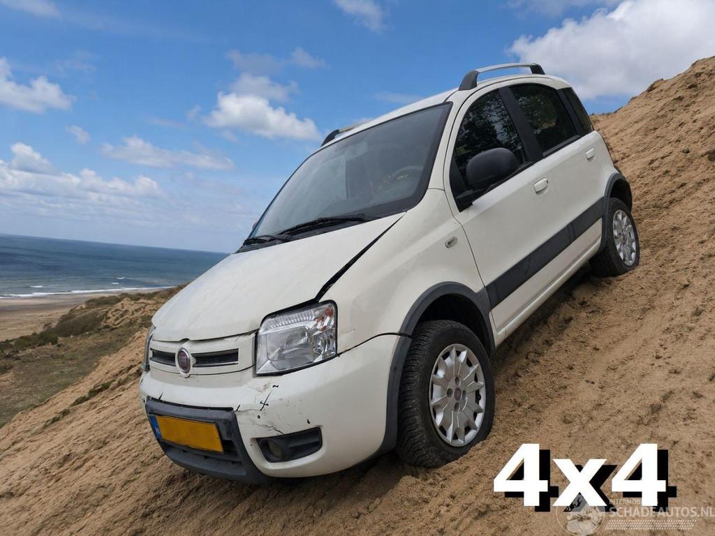 Fiat Panda 1.2 Climbing 4x4 (bj 2010), 1242 cc, Wit, Handgeschakeld, SUV of Terreinwagen