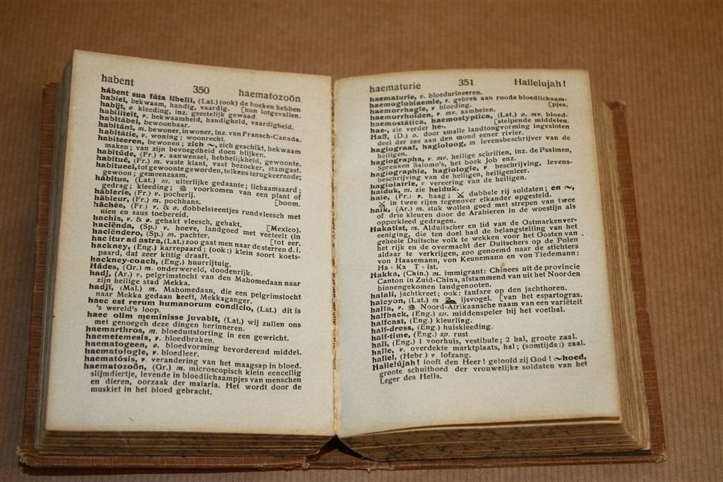 Kramers\' Woordentolk. Antieke uitgave 1919., Boeken, Ophalen of Verzenden, Gelezen, Van Dale