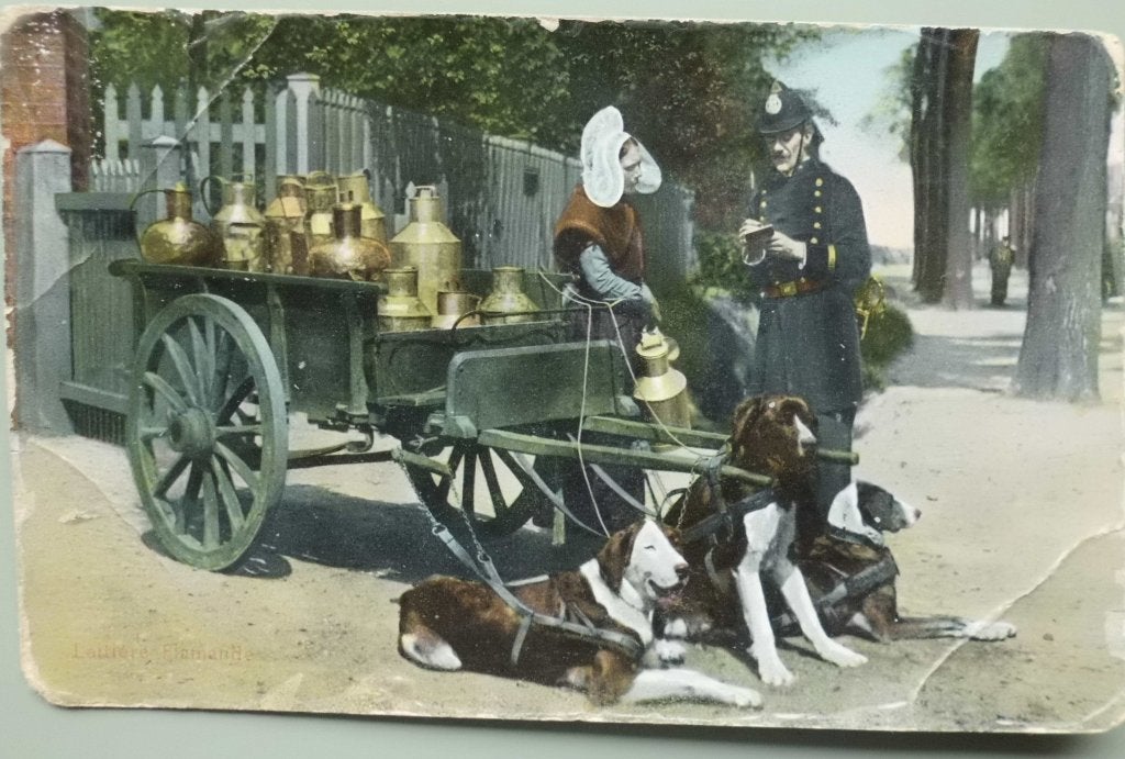 Hondenkar - melkmeisje Vlaanderen - 1927, Ophalen of Verzenden, 1920 tot 1940, Gelopen, Ambachten of Beroep