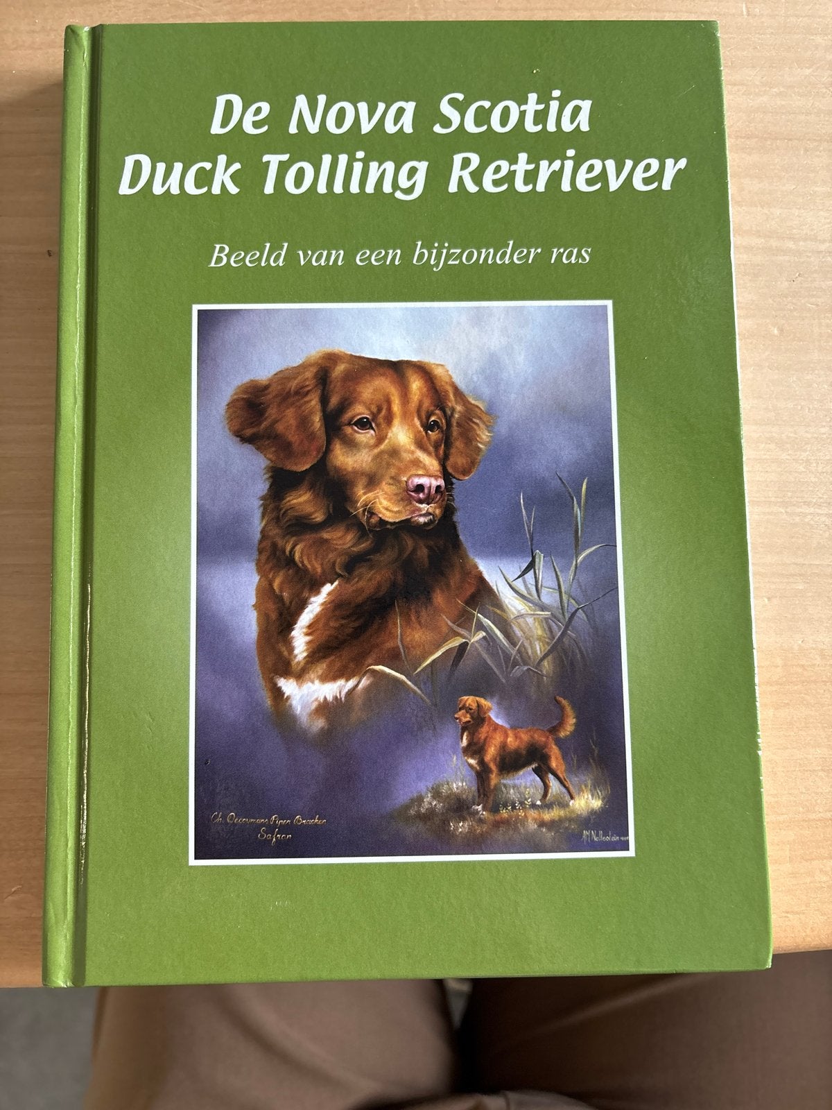 De Nova Scotia Duck Tolling Retriever - Judith Gieskens, Ophalen of Verzenden, Gelezen, Honden