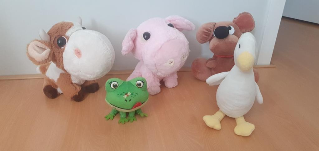 knuffels, Ophalen, Hond