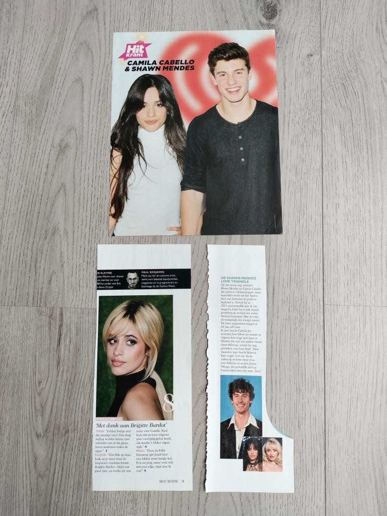 A4 poster formaat + knipsels Camila Cabello & Shawn Mendes, Verzenden, Zo goed als nieuw, Poster, Artwork of Schilderij